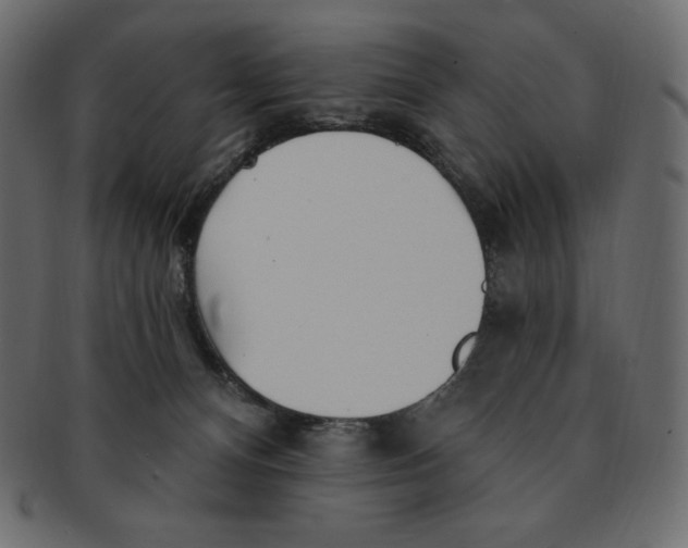 X0000091370128200709071335