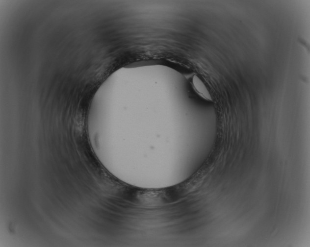 X0000091370129200709071335