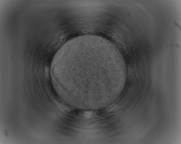 X0000091370130200709071335