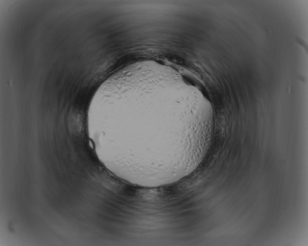 X0000091370131200709071335