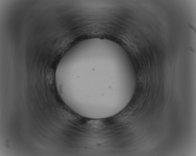 X0000091370133200709071335