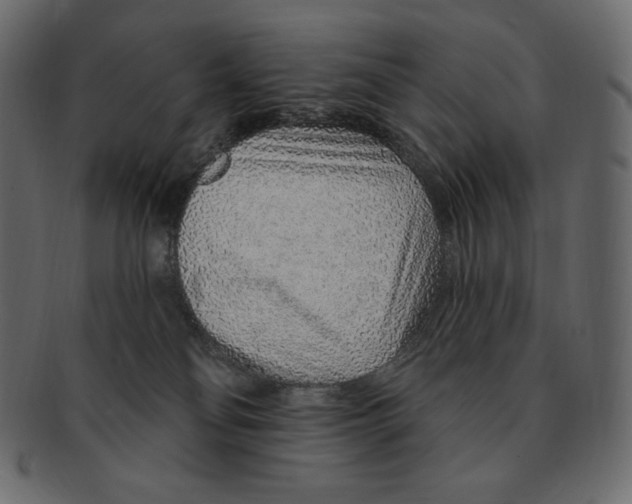 X0000091370134200709071335