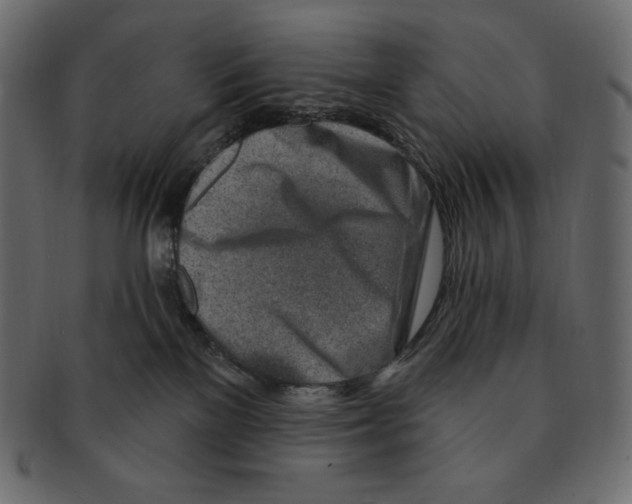 X0000091370137200709071335