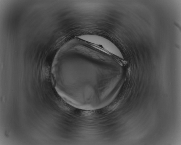 X0000091370139200709071335