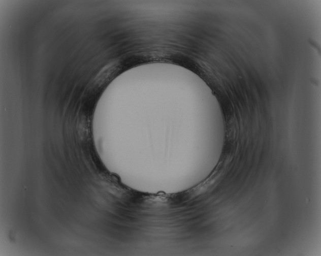 X0000091370140200709071335