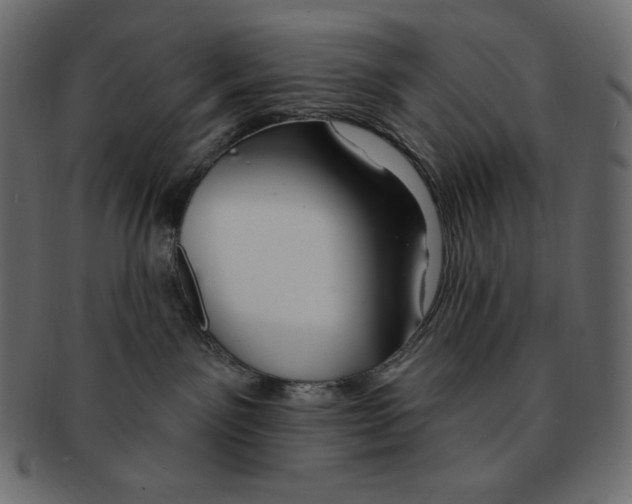 X0000091370141200709071335