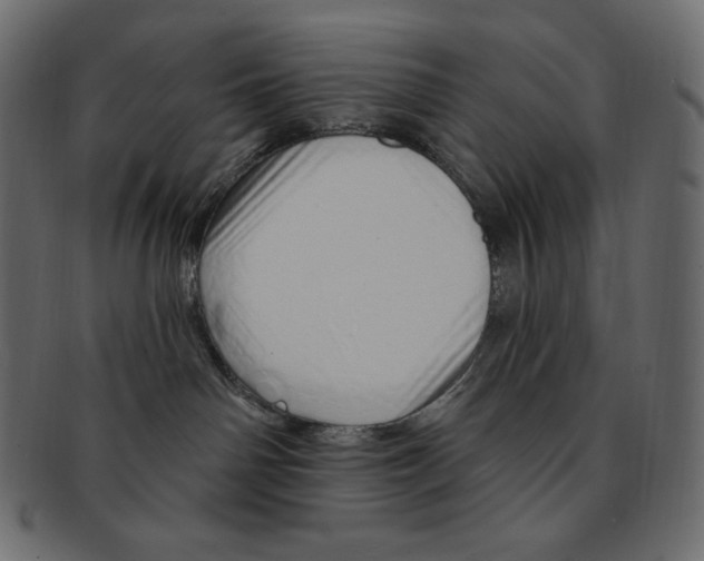 X0000091370142200709071334