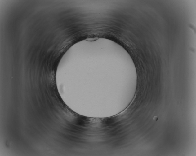 X0000091370144200709071334