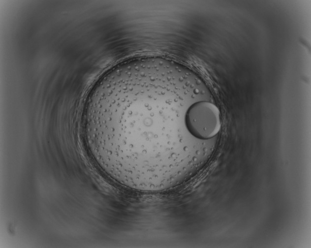 X0000091370145200709071334