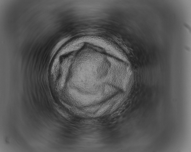 X0000091370147200709071334