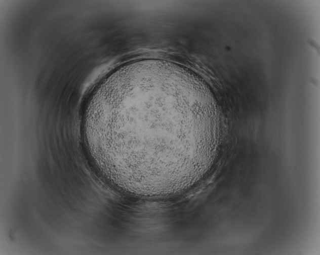 X0000091370149200709071334