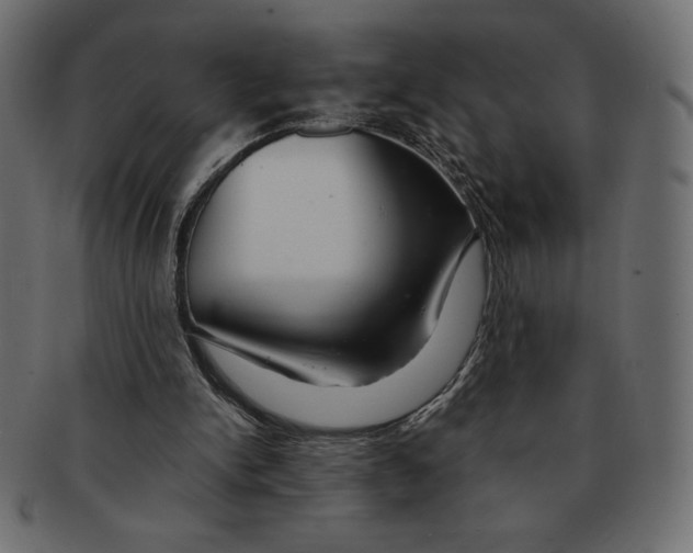 X0000091370150200709071334