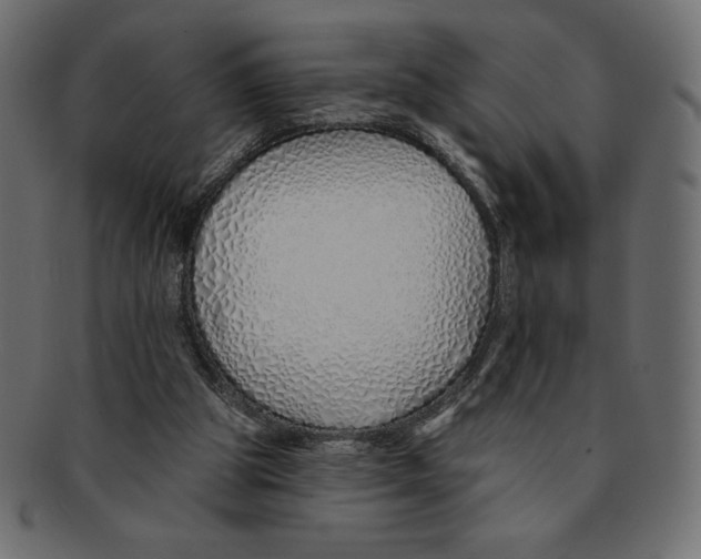 X0000091370153200709071334