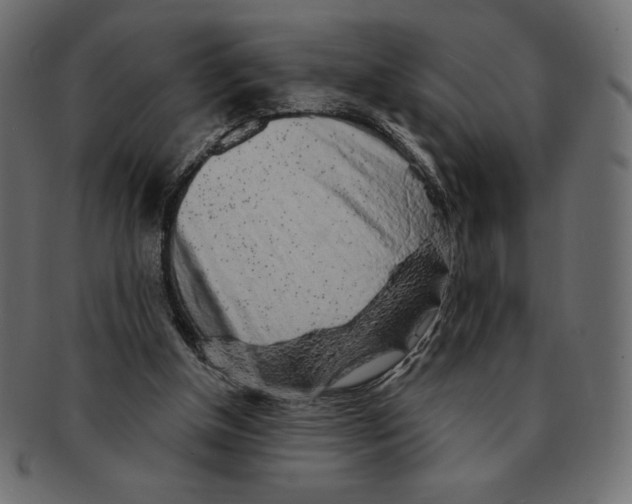 X0000091370154200709071334