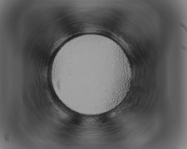 X0000091370155200709071334