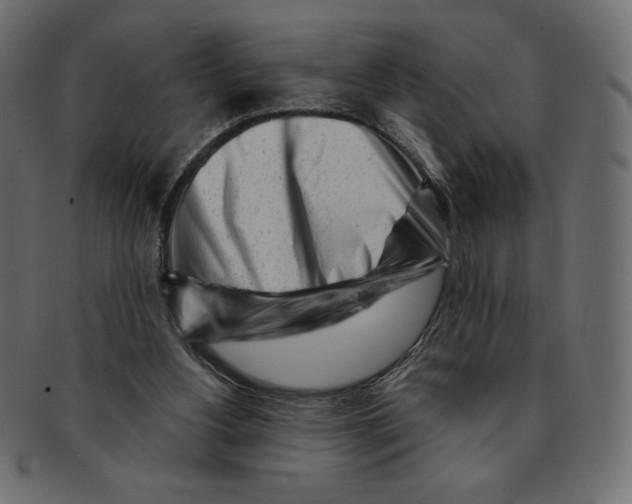 X0000091370156200709071334