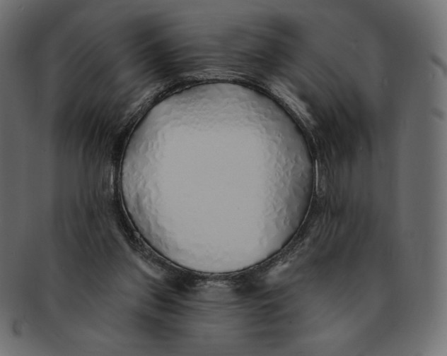 X0000091370157200709071334