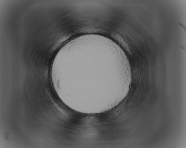 X0000091370159200709071334