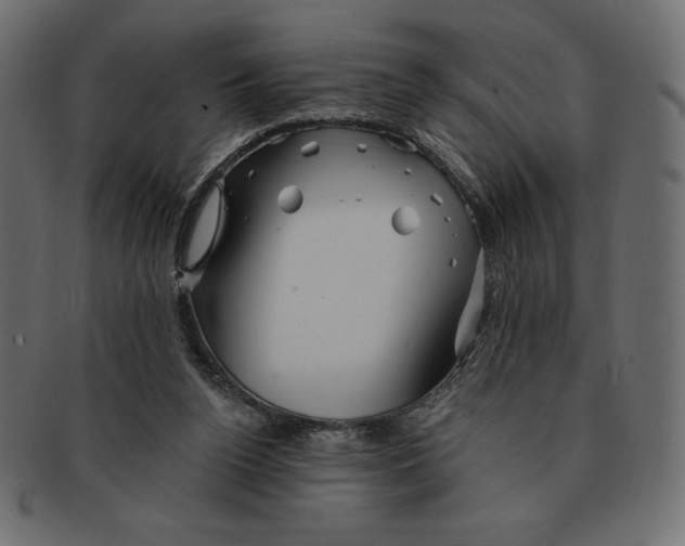 X0000091370160200709071334