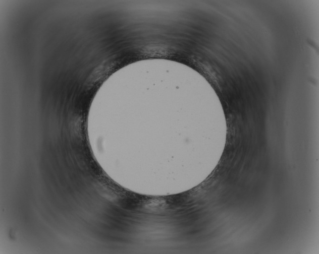 X0000091370162200709071334