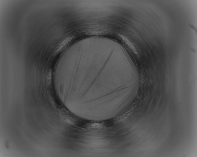 X0000091370163200709071334