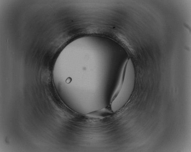 X0000091370164200709071334