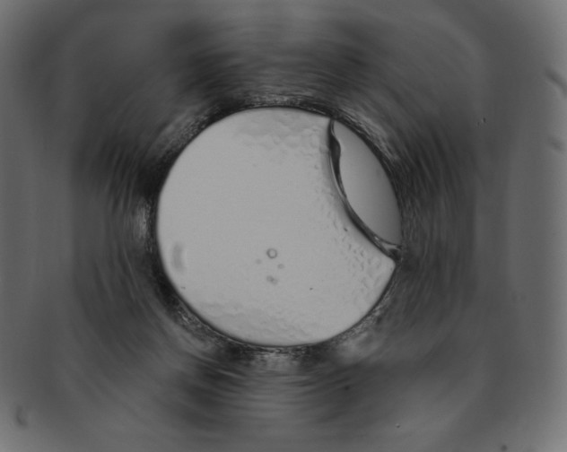 X0000091370166200709071334