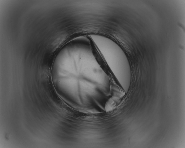 X0000091370168200709071334