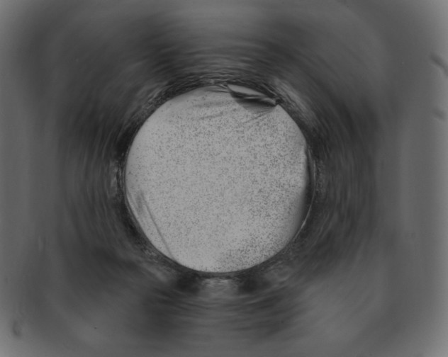 X0000091370169200709071334