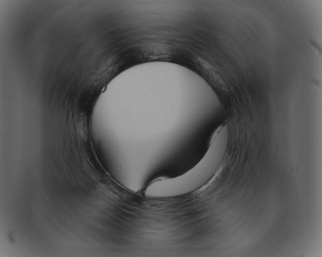 X0000091370170200709071334