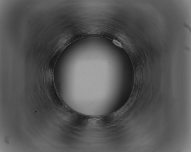 X0000091370172200709071334