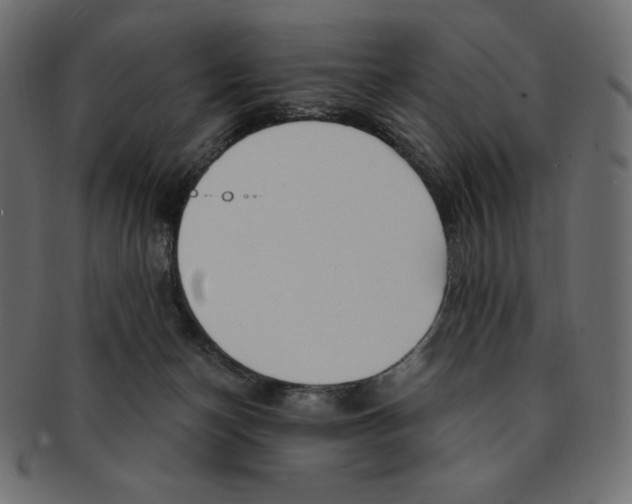 X0000091370174200709071334