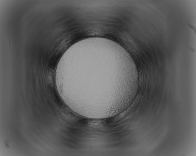 X0000091370175200709071334