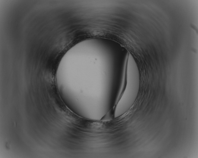 X0000091370176200709071334