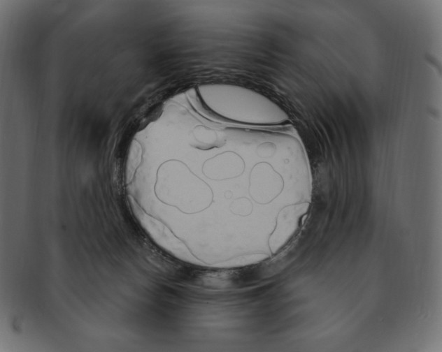 X0000091370178200709071334