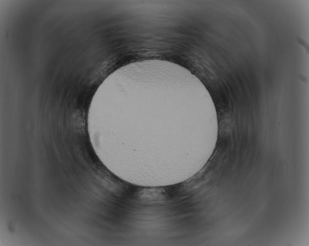 X0000091370179200709071334