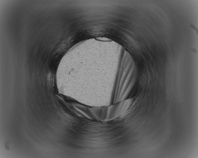 X0000091370180200709071334