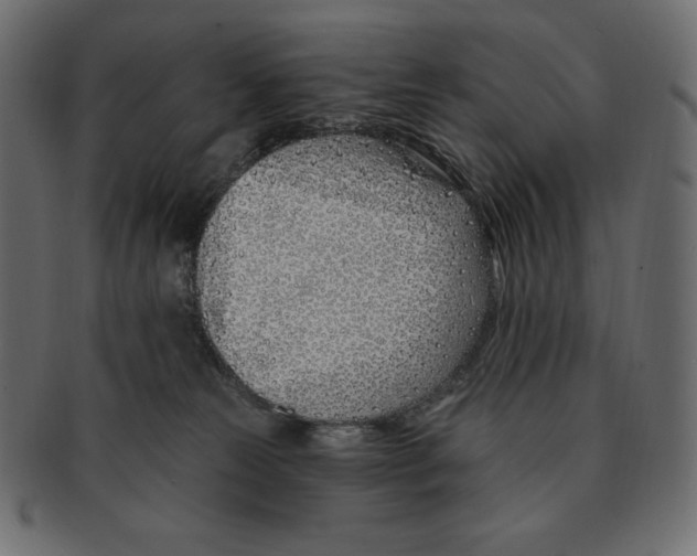 X0000091370181200709071334