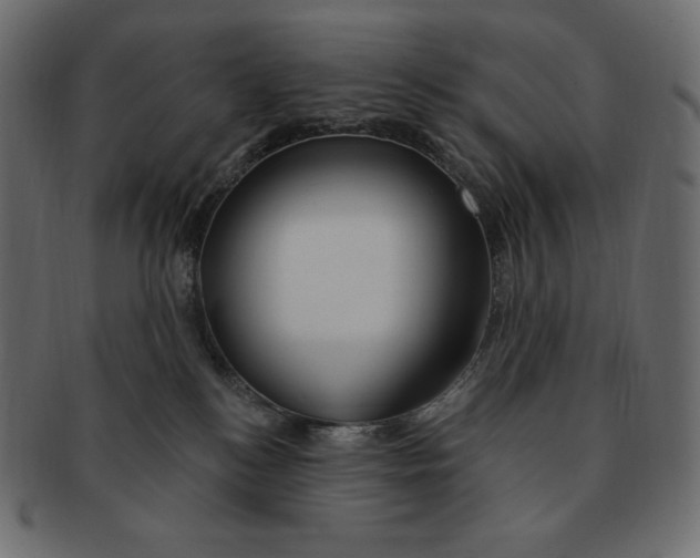 X0000091370184200709071334