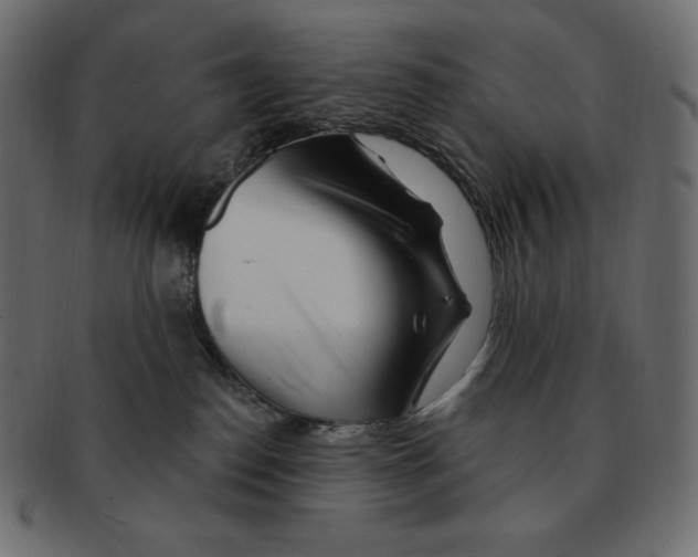 X0000091370186200709071334