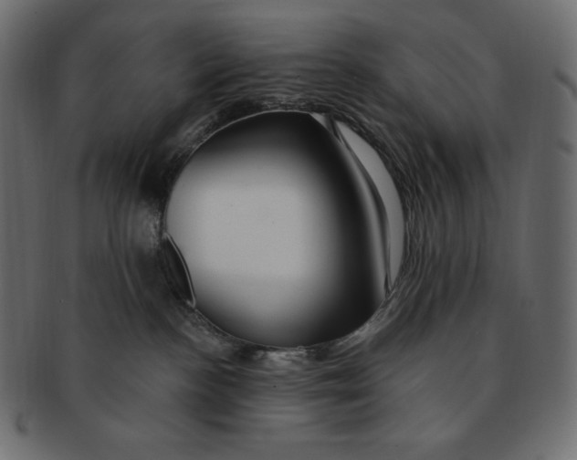 X0000091370188200709071334