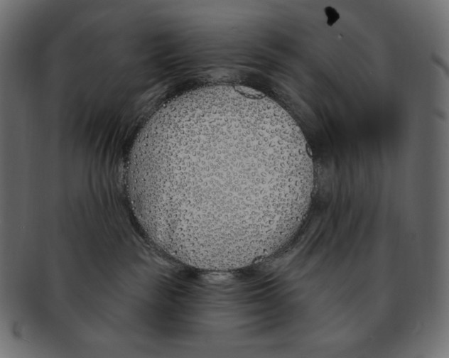 X0000091370189200709071334