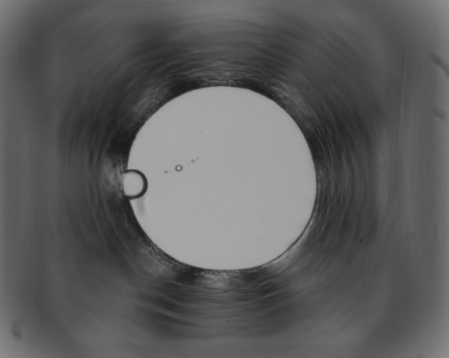 X0000091370190200709071334