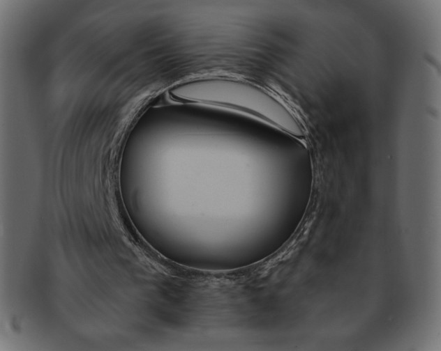 X0000091370193200709071334