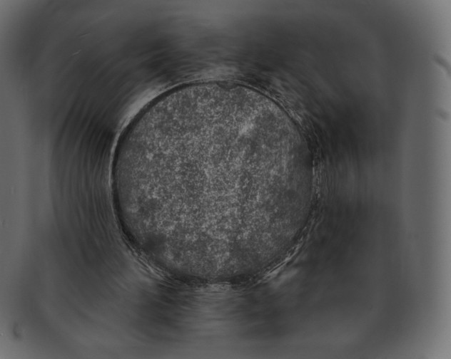 X0000091370196200709071334