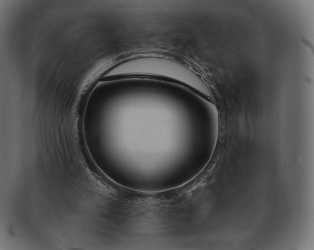 X0000091370197200709071334