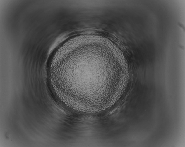 X0000091370198200709071334