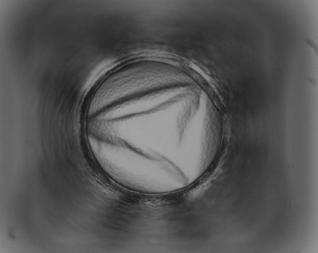 X0000091370199200709071334