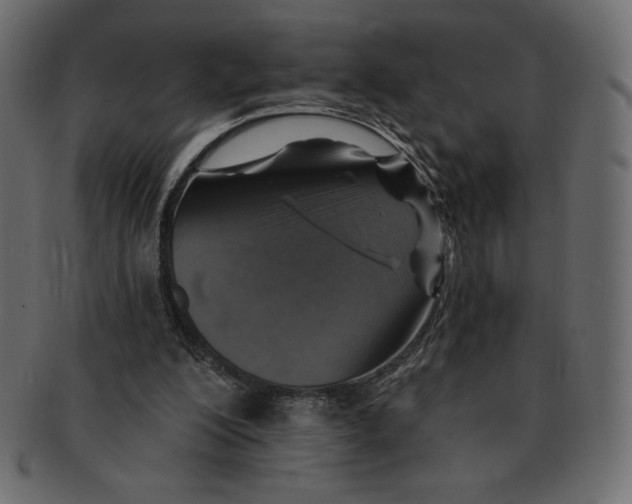 X0000091370200200709071334