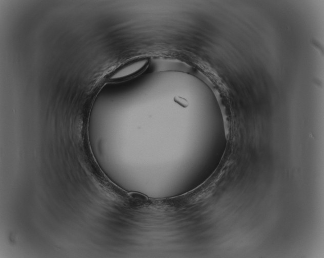 X0000091370201200709071334